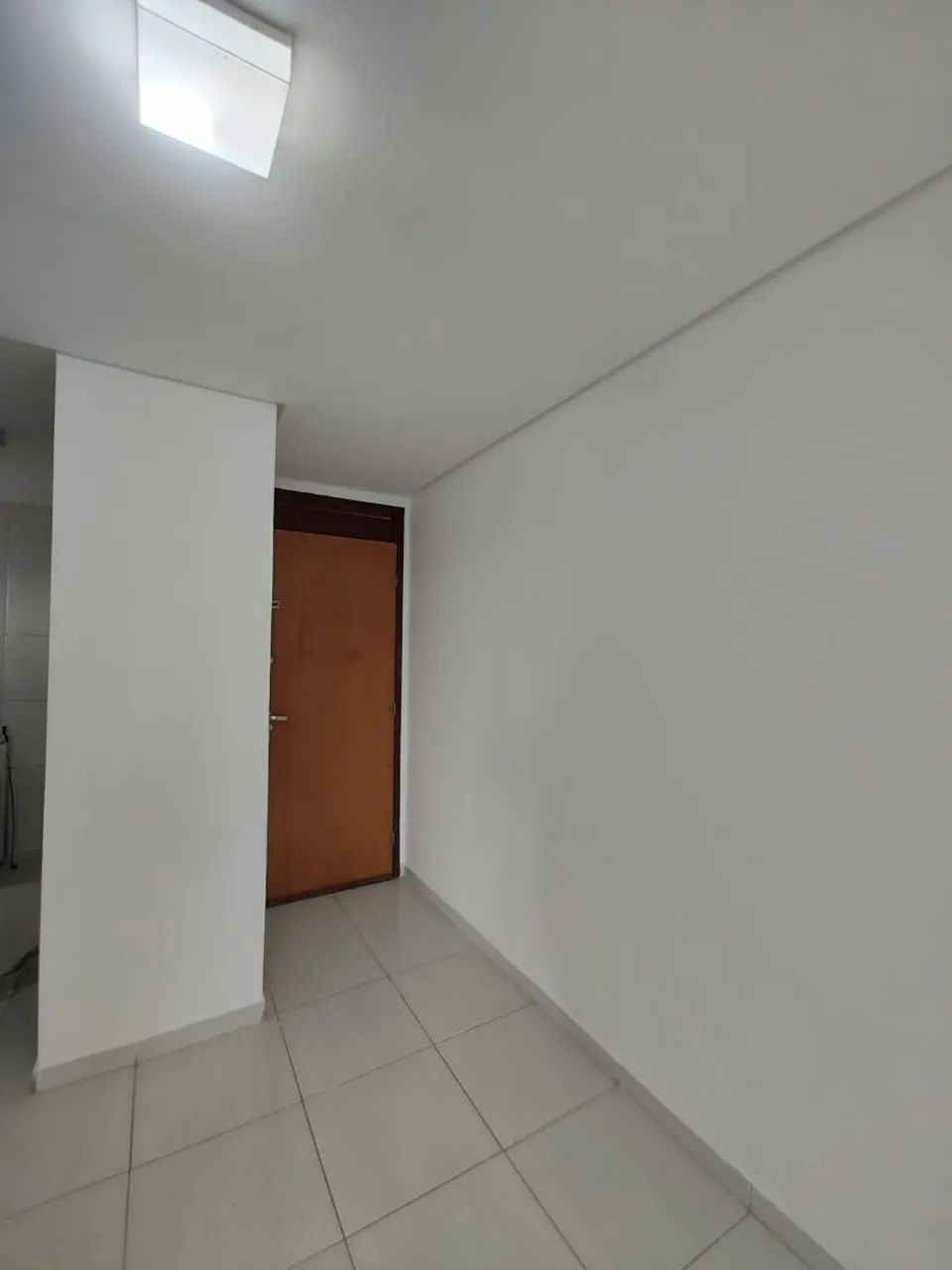 Pintor profissional 