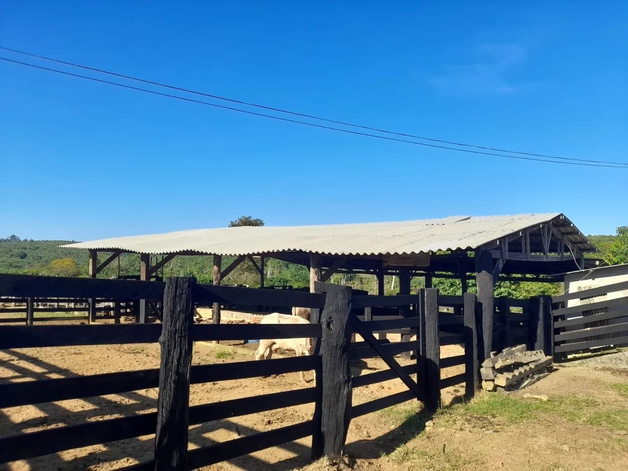 Fazenda 103 Alqueires  - Foto 4