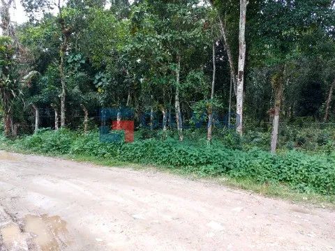Terreno à venda na Praia de Boracéia em São Sebastião - SP - Foto 4