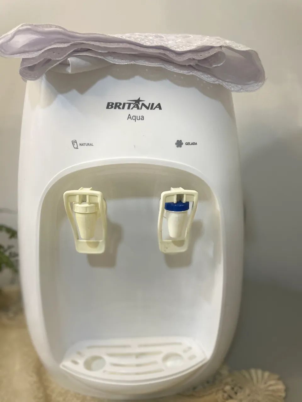 Gelagua