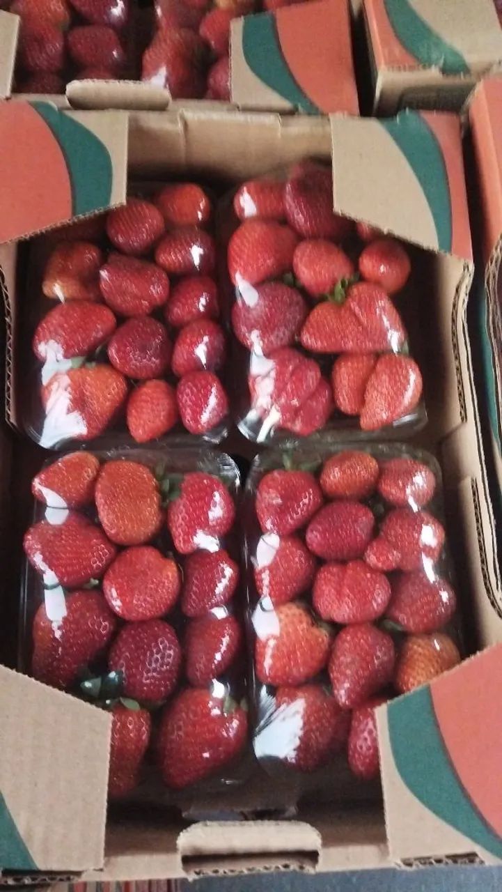 Morangos ? - Foto 3