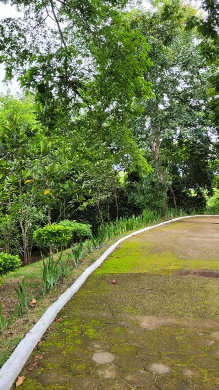 Magnifico Sítio Alto Padrão em Rosa Machado (Piraí),4 alqueires - Foto 10