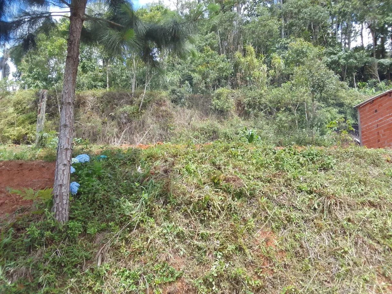 Terreno urbano  - Foto 3