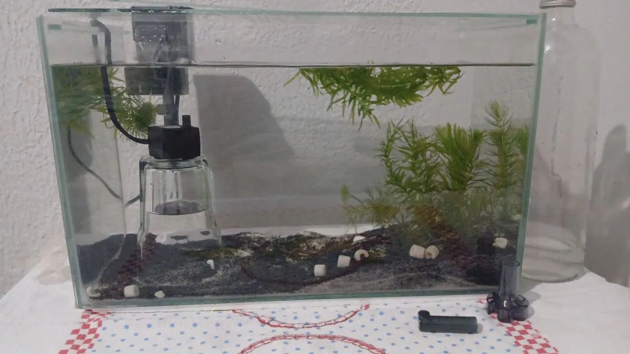 Aquario de 20litros, 40×20×25 - Foto 3