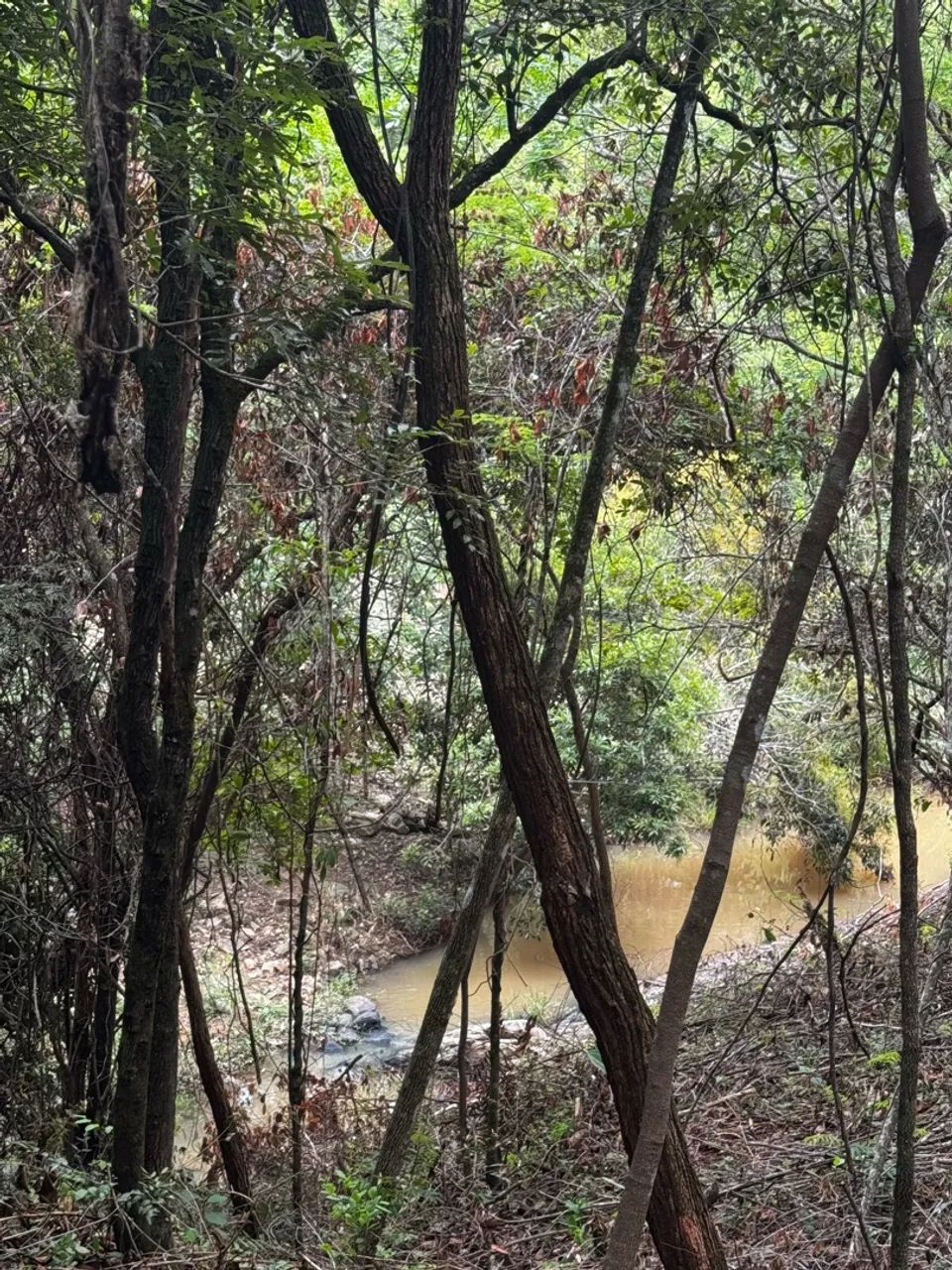 Chácara em Taquaraçu De Minas  - Foto 2