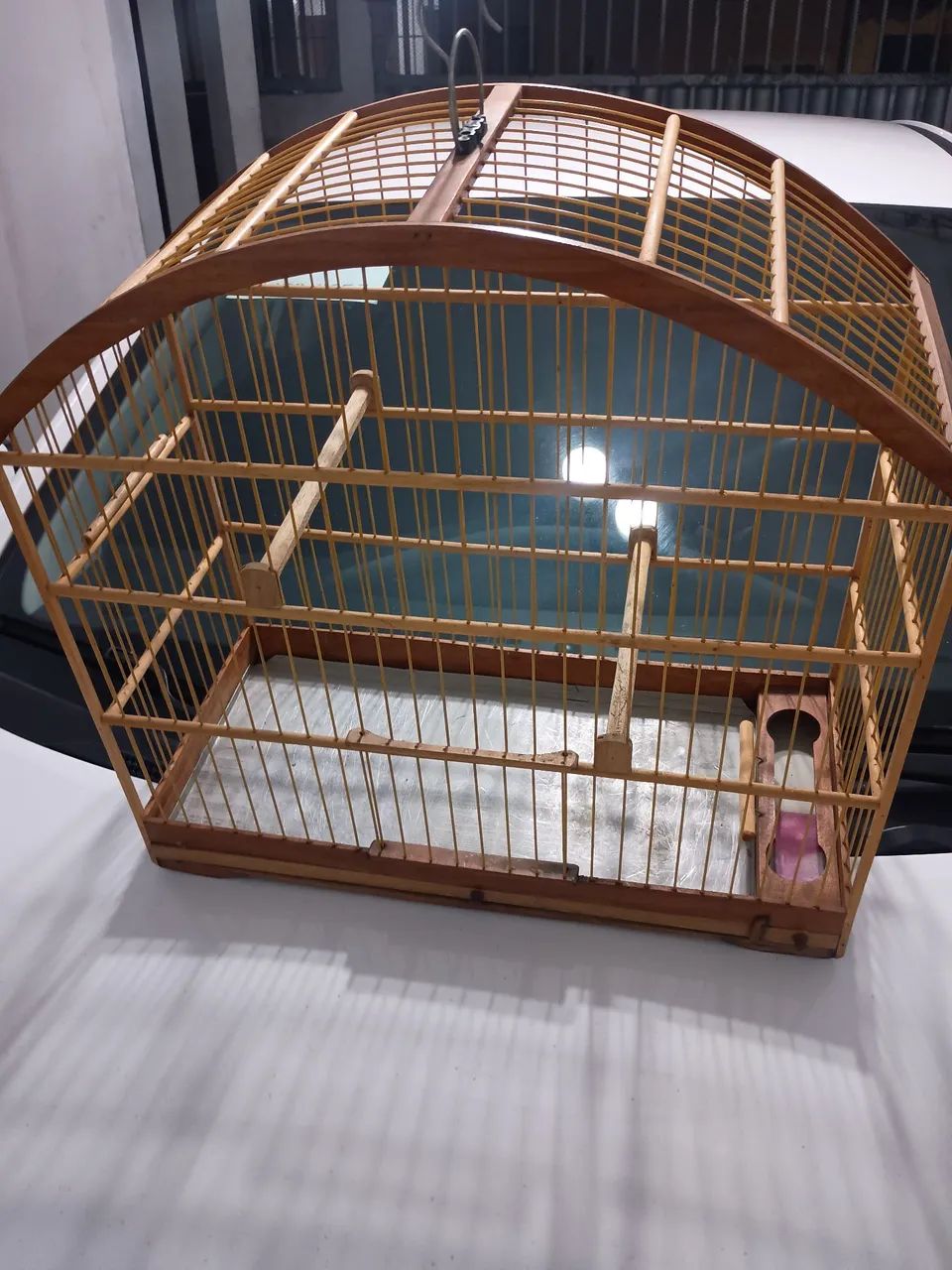 Animais e acessórios  - Foto 4