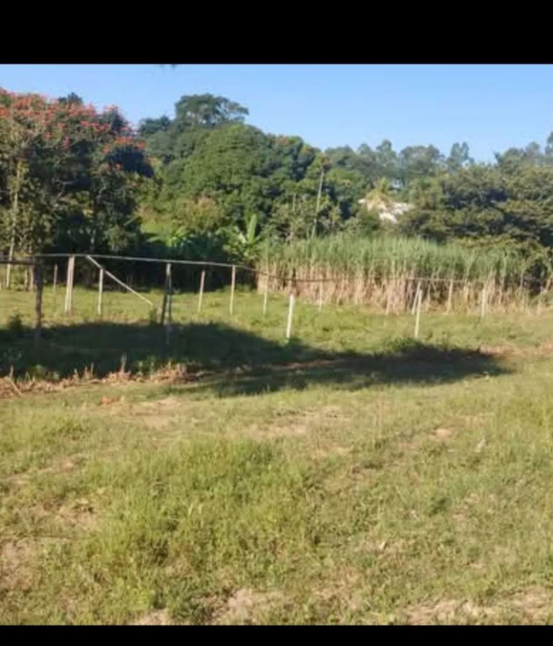 Vende se chacara  - Foto 2