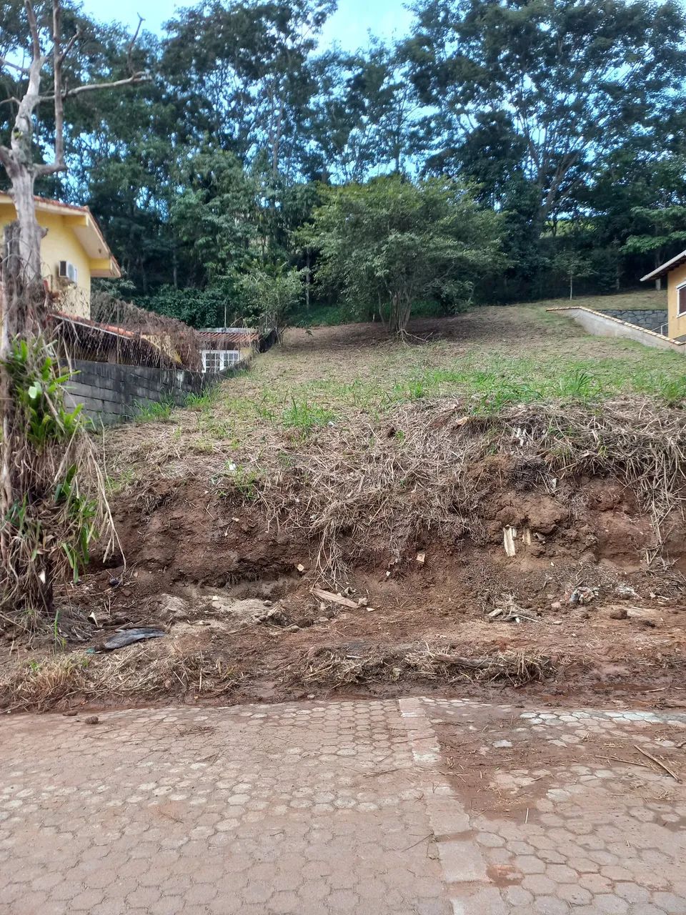 Foto - Miguel Pereira - 