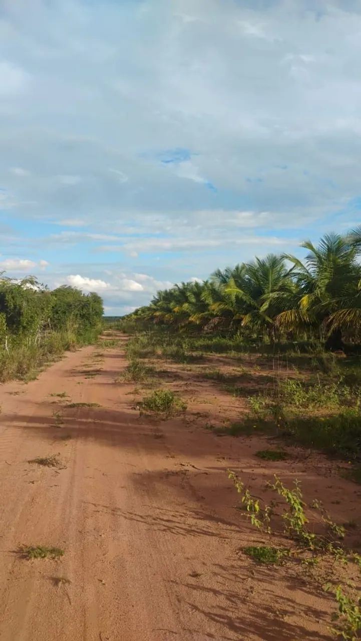 Vendo propriedade  - Foto 2