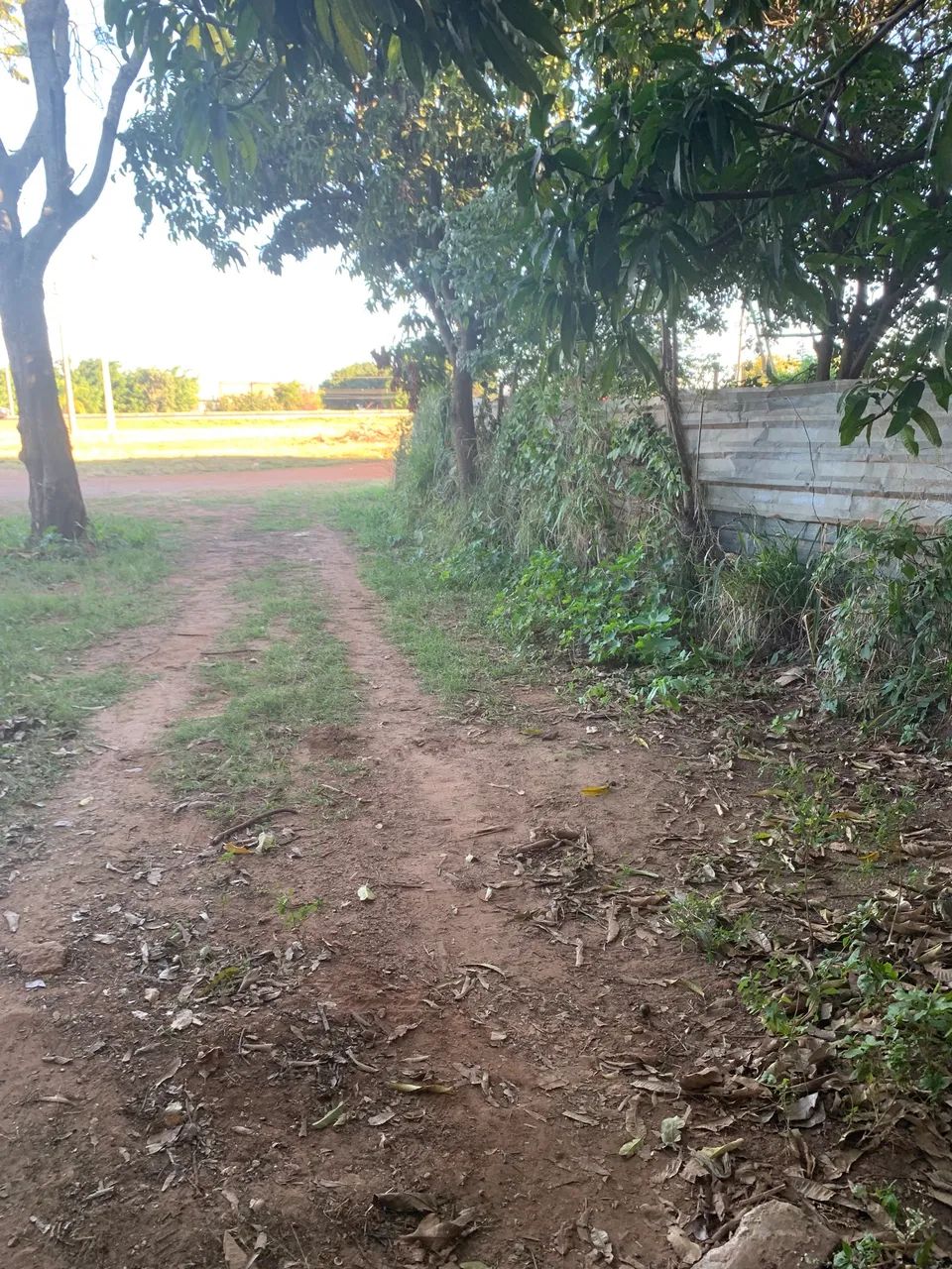Oportunidade para Investidores : Direto com proprietário  - Foto 5