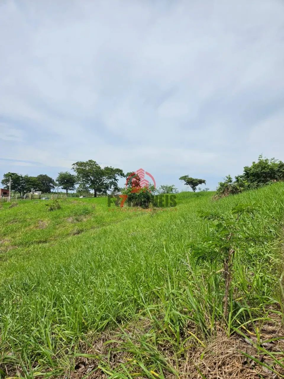 CHÁCARA EM SANTO ANTÔNIO DE GOIÁS  GO - Foto 4