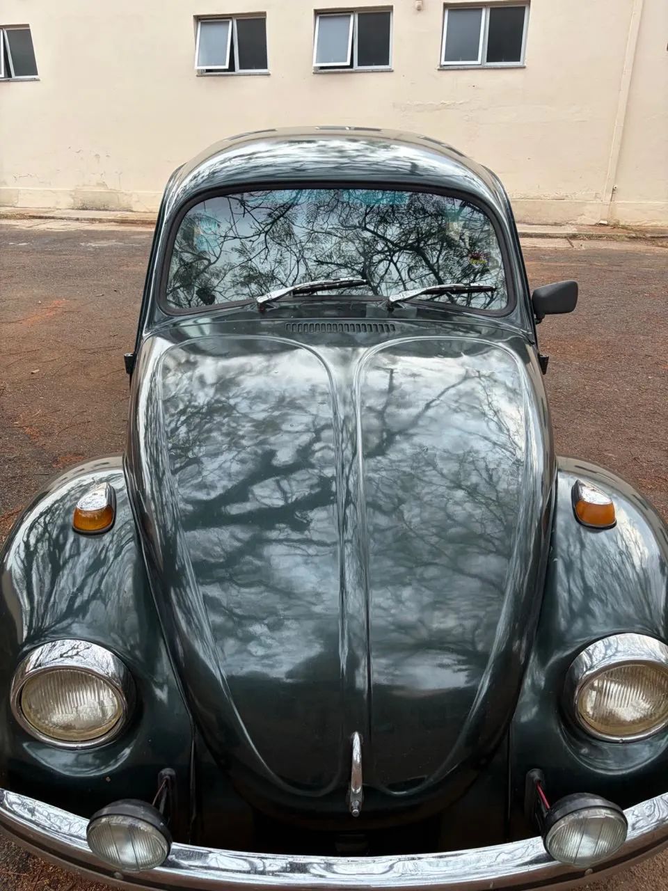 Volkswagen Fusca Fusca (gasolina) 1982