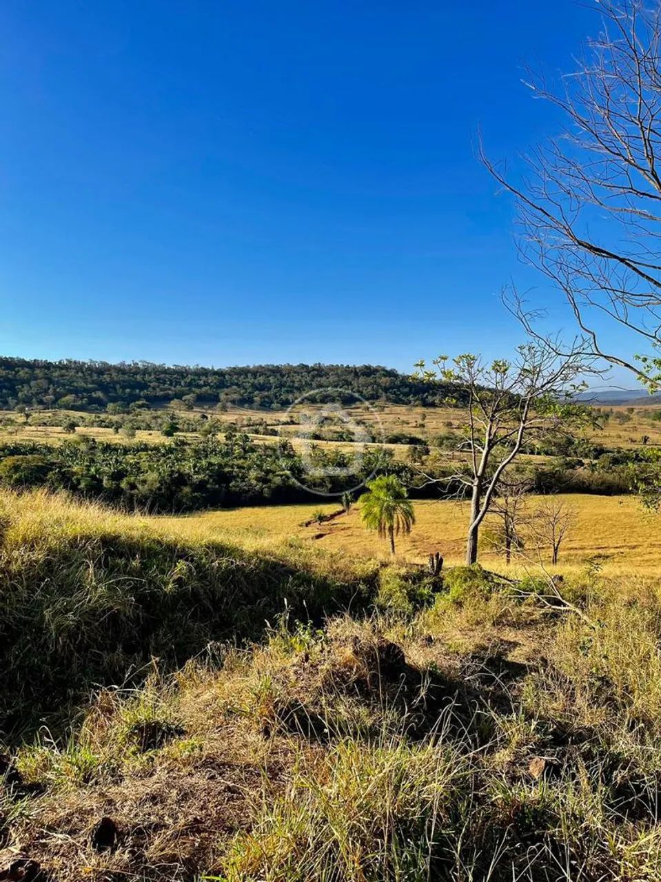 FAZENDA EM JACIARA - Foto 4