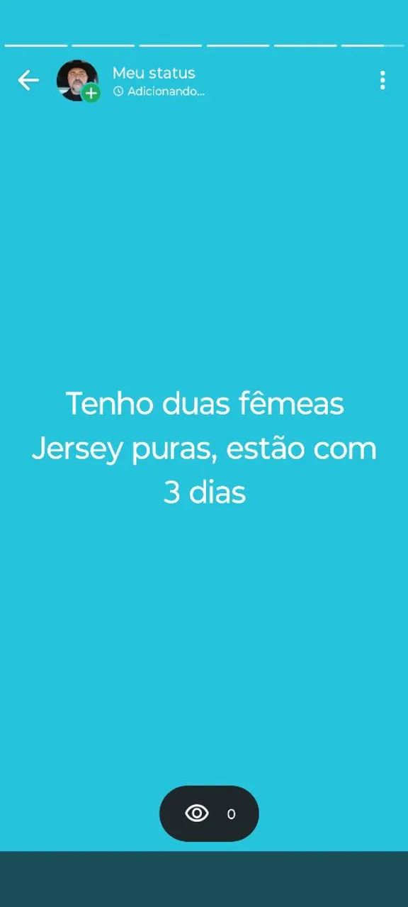 Fêmea Jersey pura - Foto 3