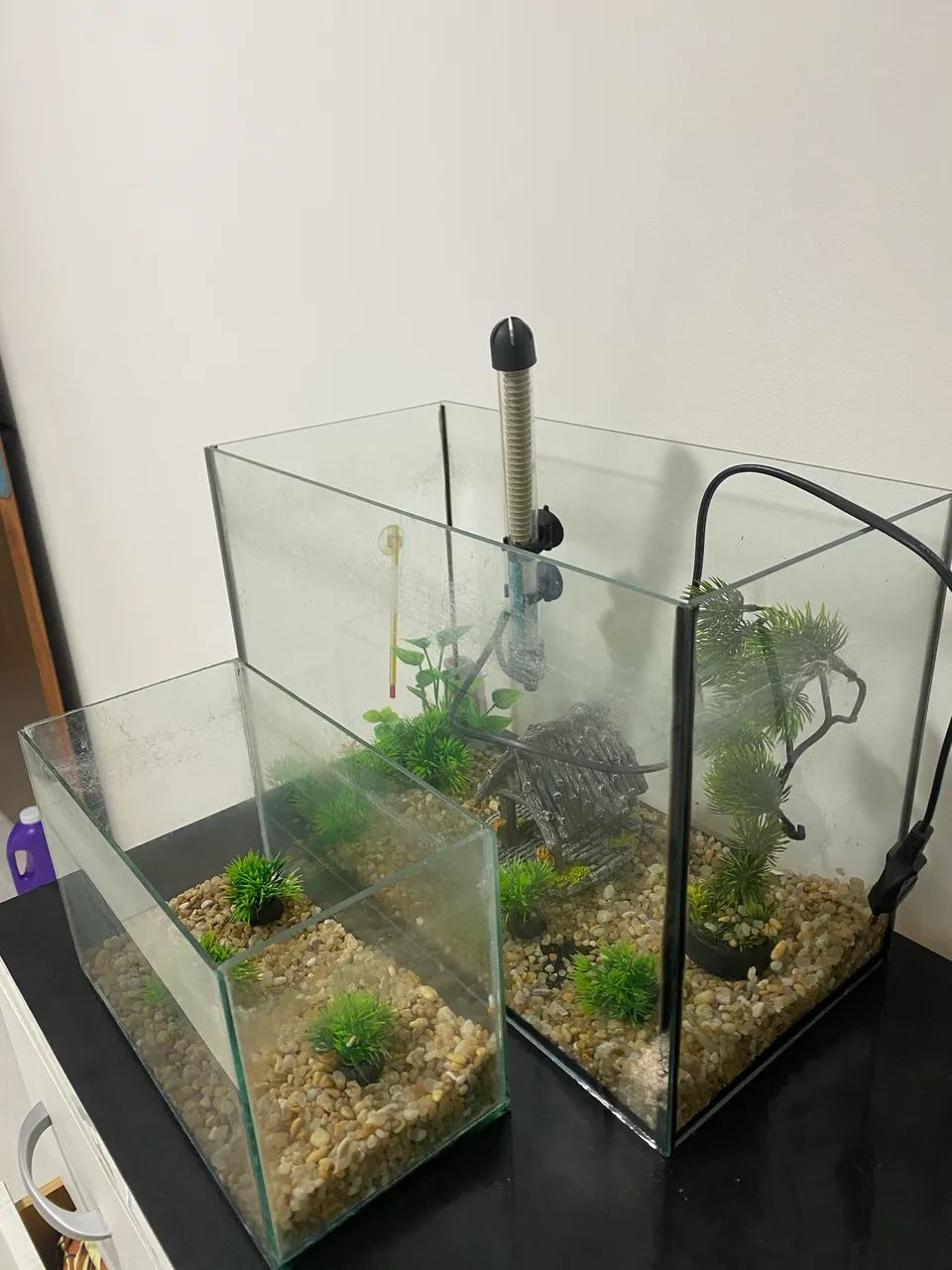 AQUÁRIOS PARA PEIXES