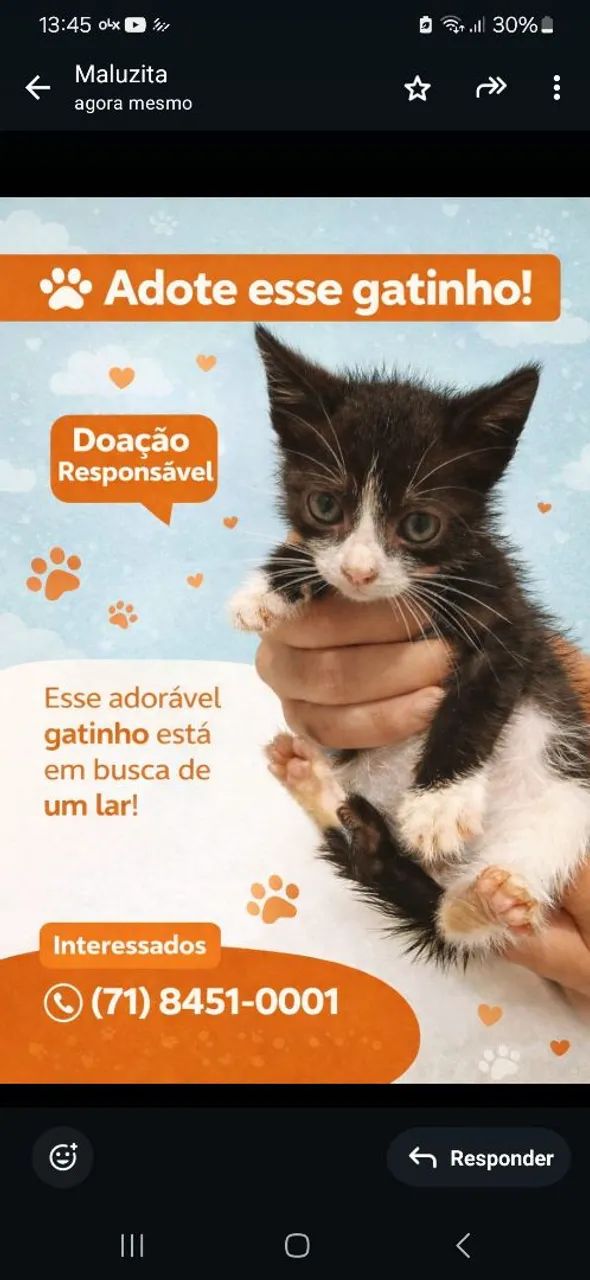 Doa-se gatinho 