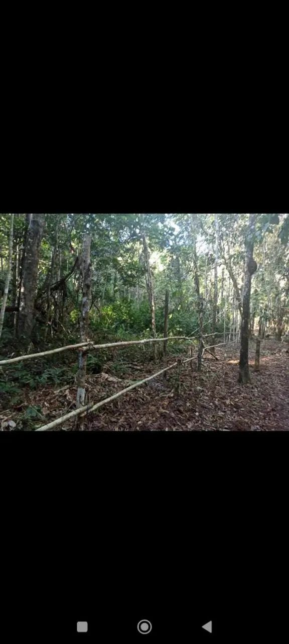 Lindo terreno com igarapé em alter do chão  - Foto 3