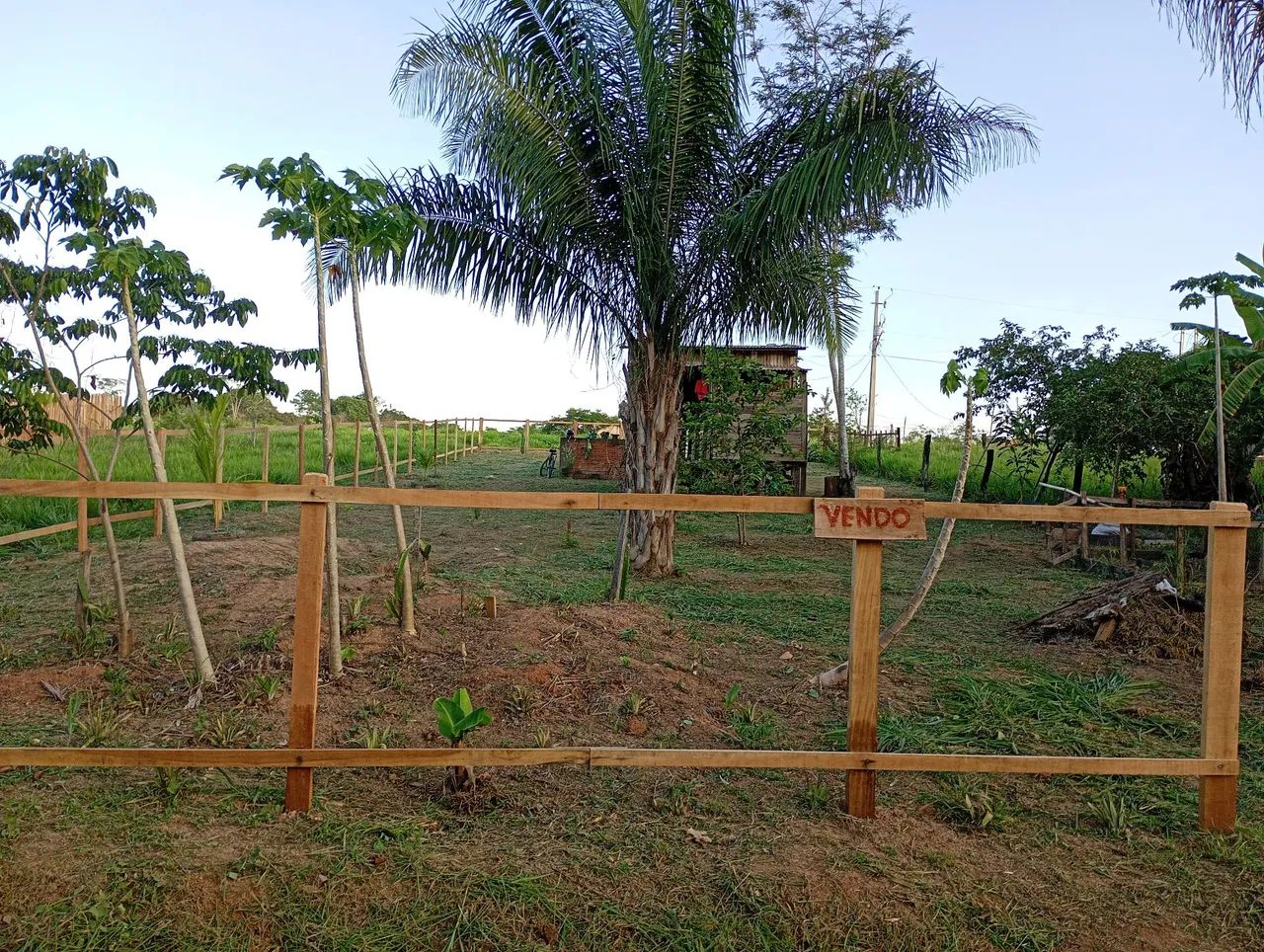 Vendo terreno na estrada do mutum km3  - Foto 4