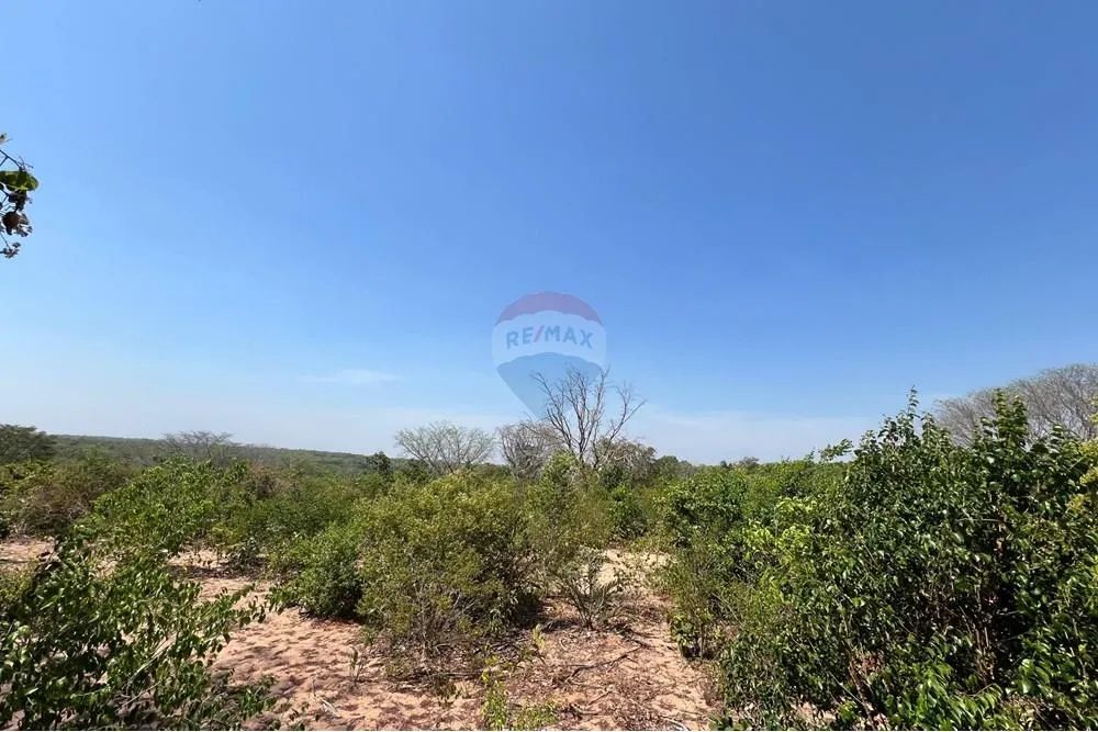 Fazenda à Venda em Araguaína - TO. - Foto 4
