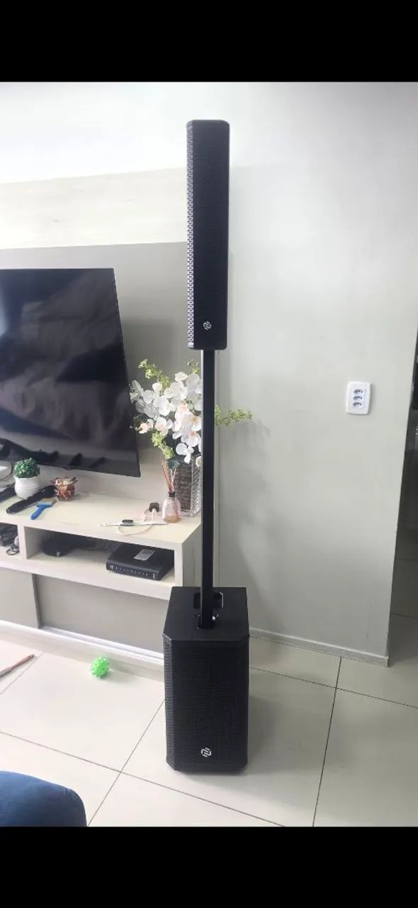 Caixa de som profissional sem fio - Foto 4