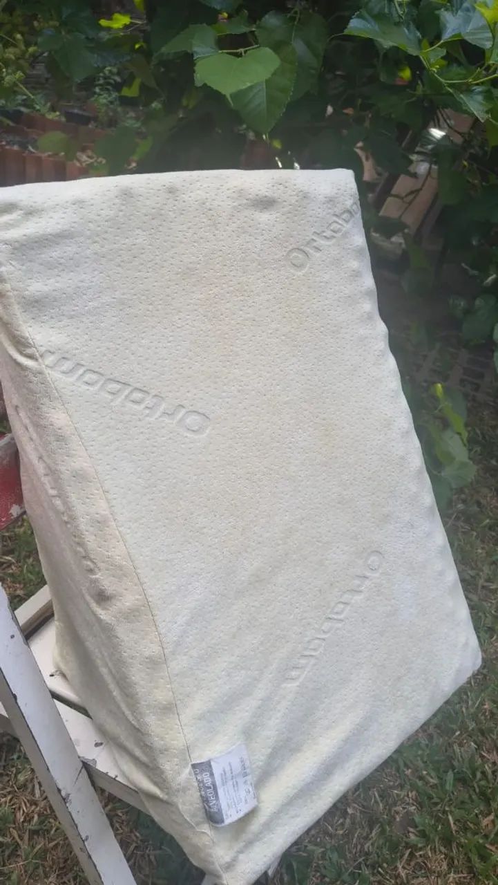 Encosto de espuma ortobom