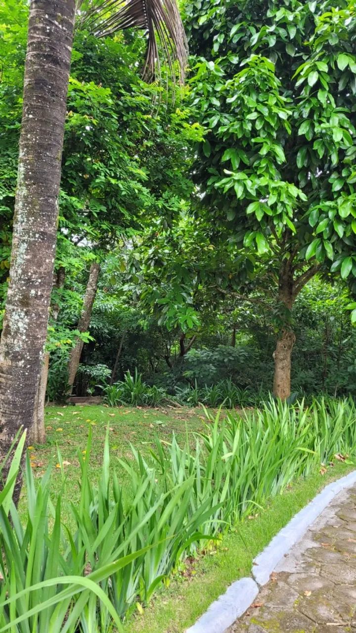 Magnifico Sítio Alto Padrão em Rosa Machado (Piraí),4 alqueires - Foto 11