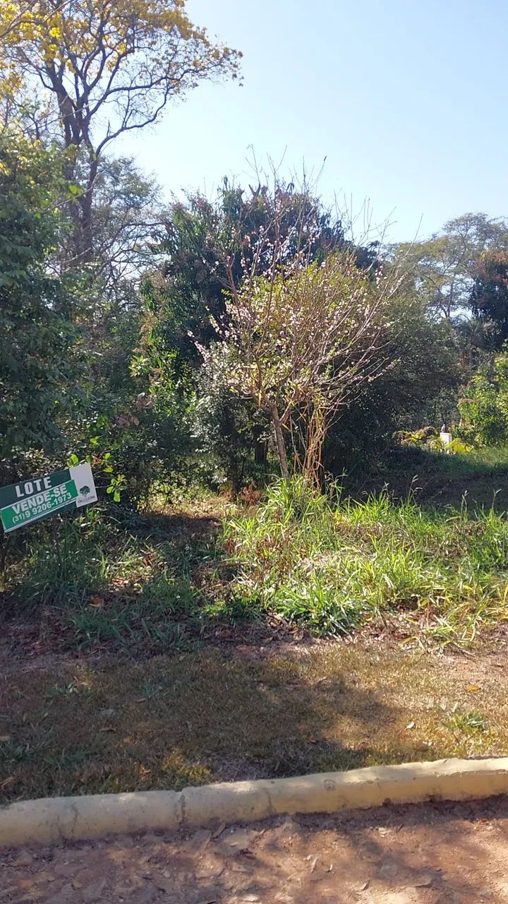 Foto - São Joaquim de Bicas - 
