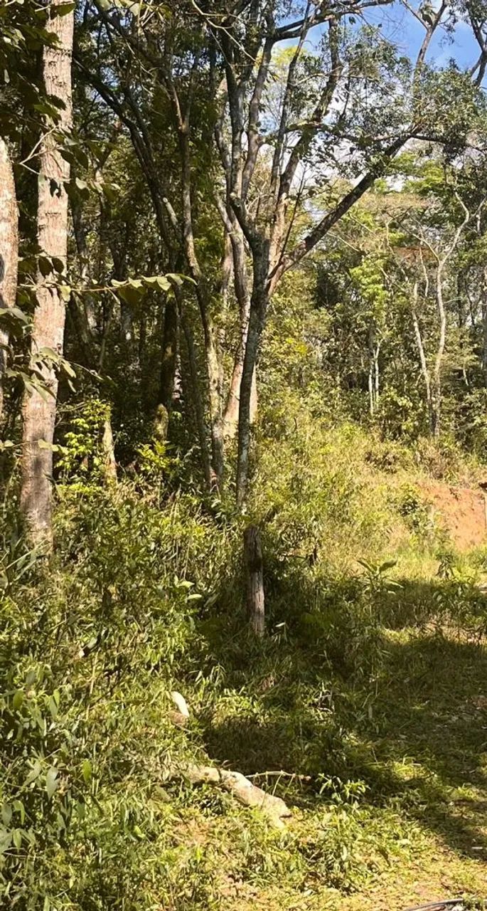 Chacara em Franco da Rocha - Foto 3