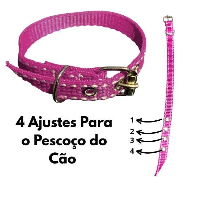 kit para cachorro - Foto 5