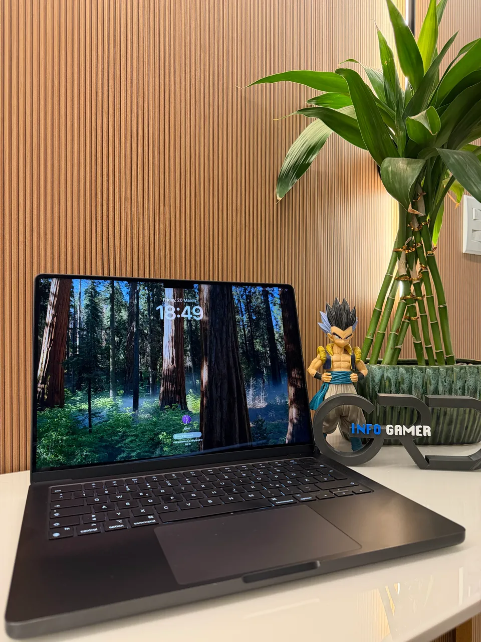 MacBook Air M4 - 13? 16GB / 256GB Cor: Midnight - Notebooks