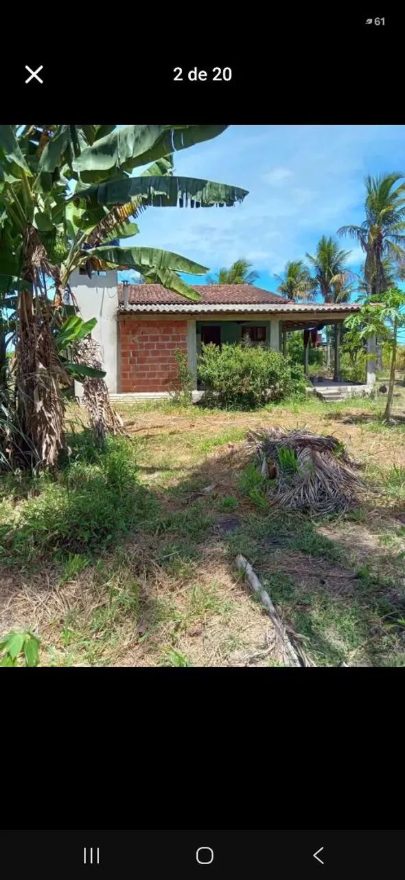 Vendo chácara com casa 180 mil. - Foto 2