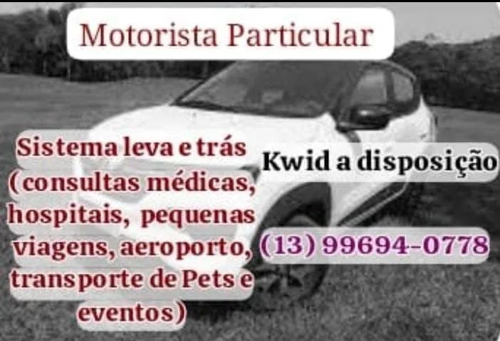Transporte de passageiros e pets