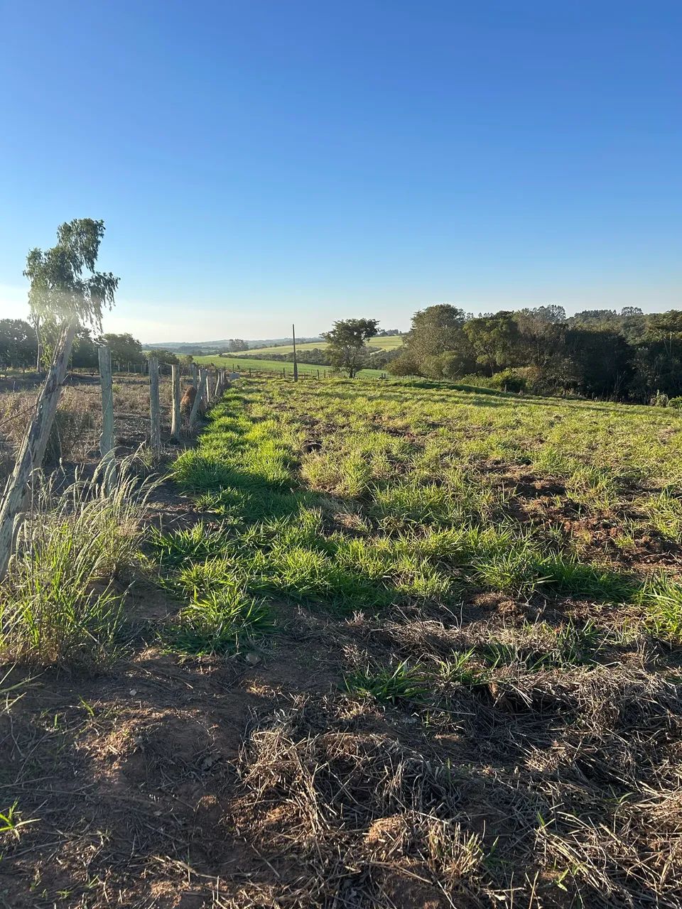Vende-se terreno para chácara 