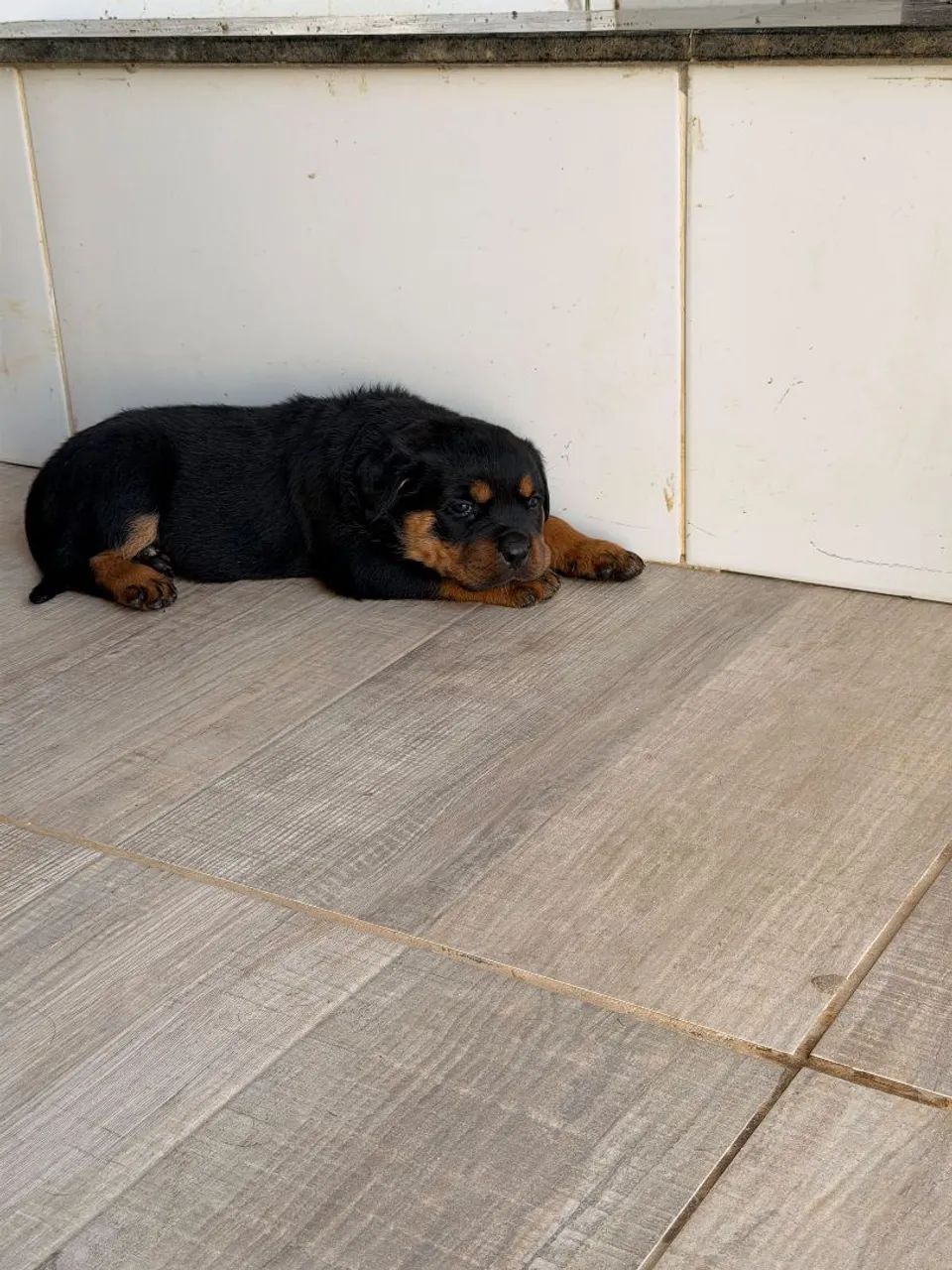 Vendo ou troco  - Foto 4