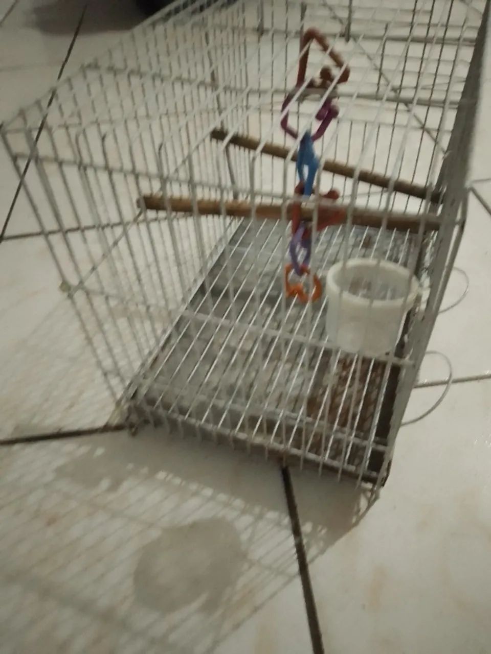 Gaiola  - Foto 2