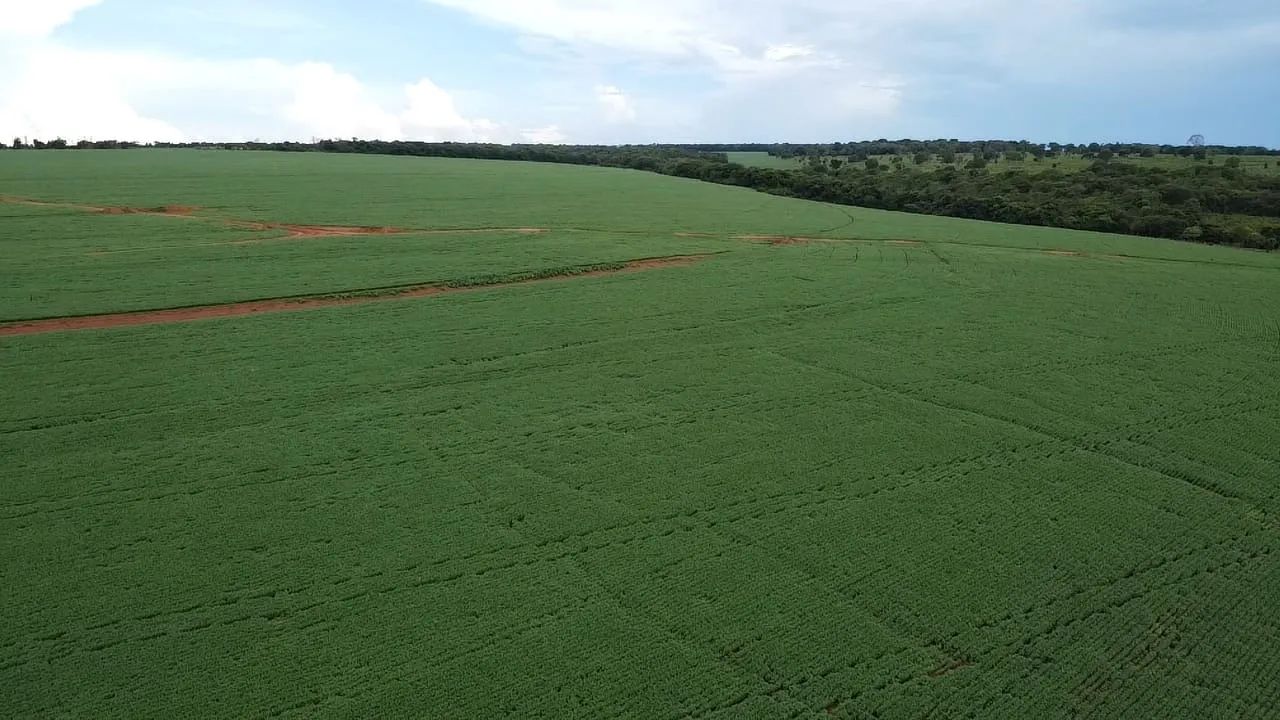 Fazenda de dupla aptidão - Foto 5