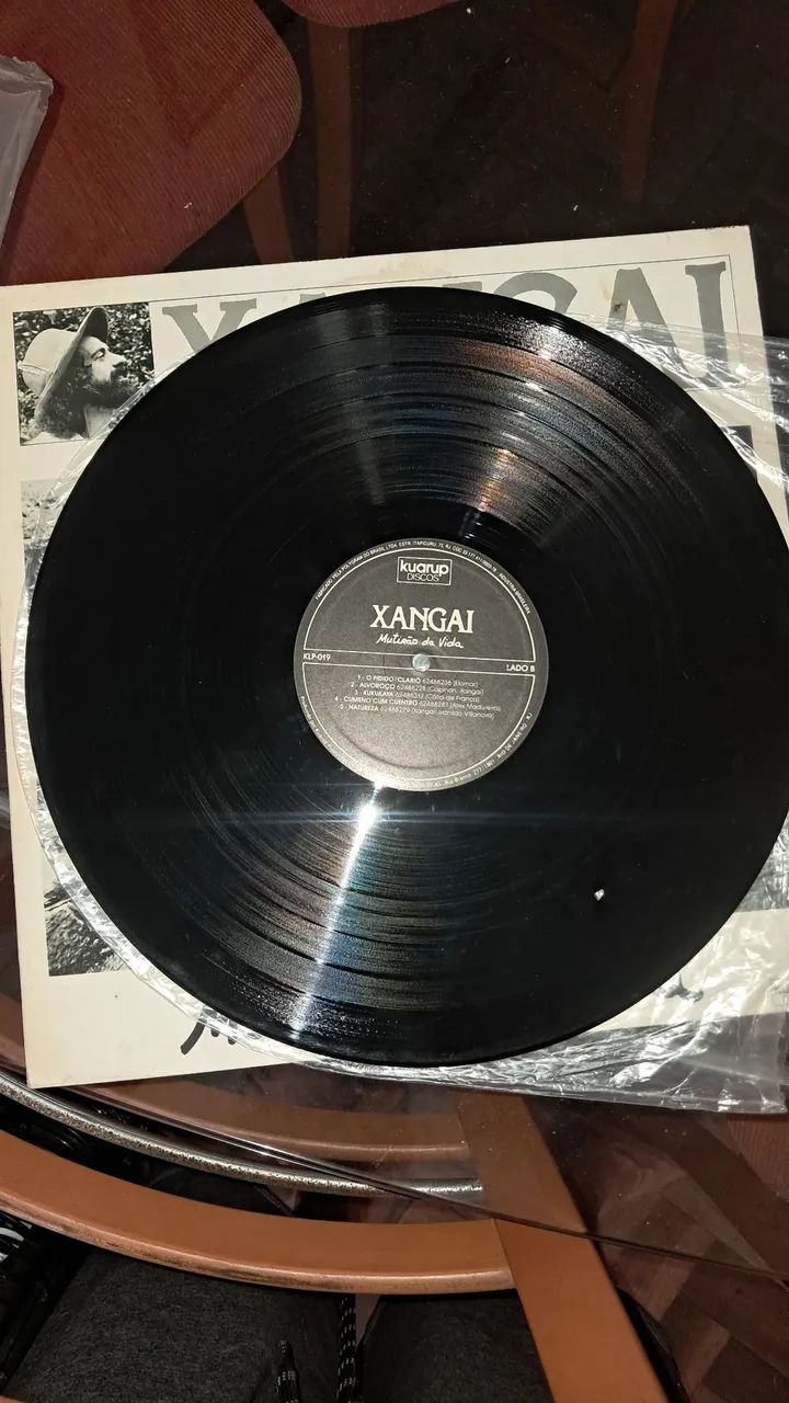 Vinil - Xangai Multirão da vida - Foto 3