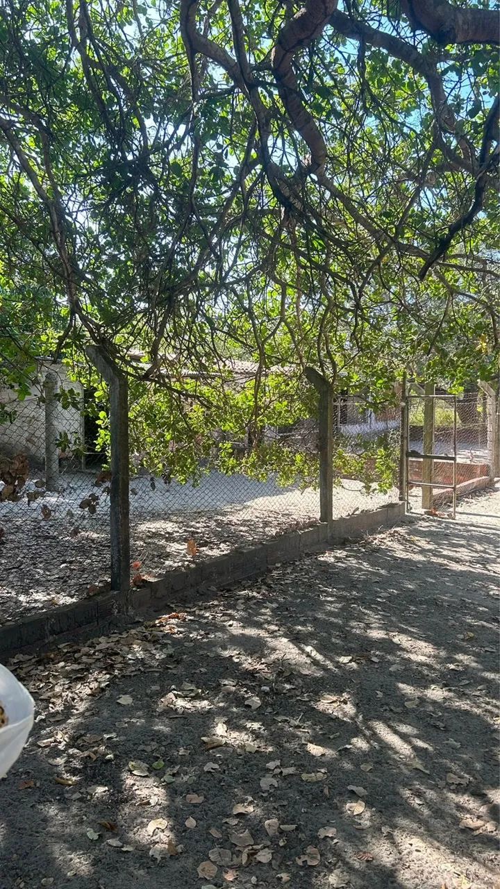 Vendo Sítio em Trairi/Ce - Foto 8