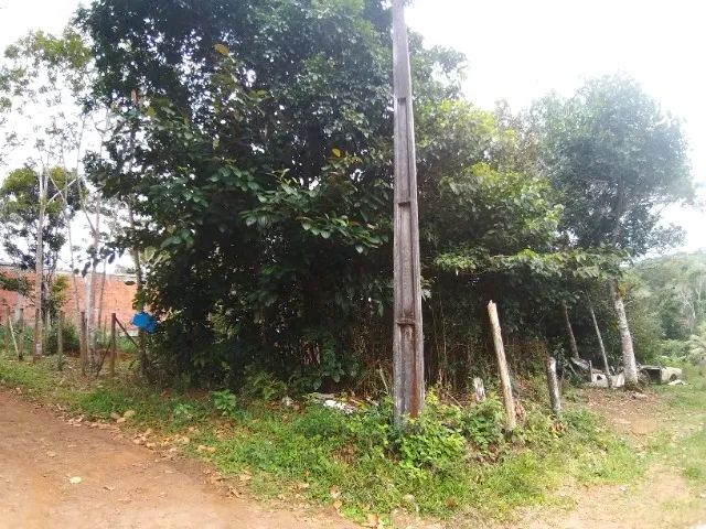 Terreno Jeribucacu - Itacare BA - Foto 2