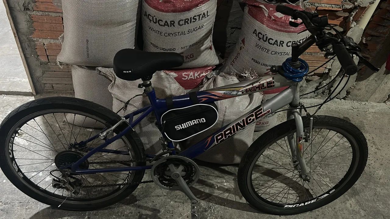 Bicicleta 