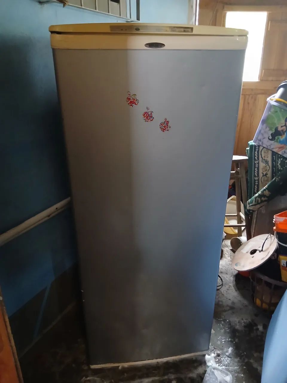 Freezer vertical