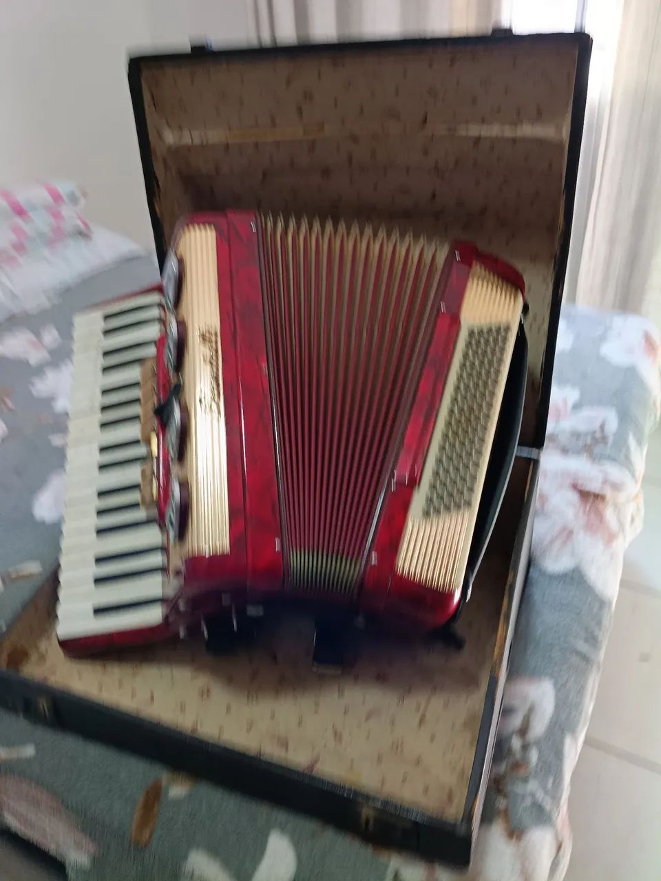 Vendo acordeon  - Foto 3