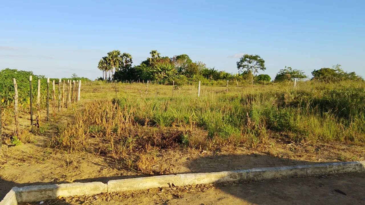 Terreno em coração de Maria  - Foto 2