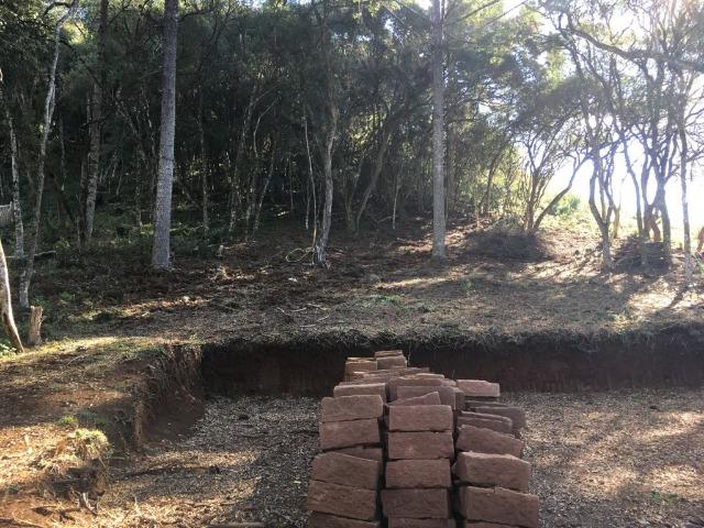 Oportunidade de adquirir seu terreno na serra gaúcha!!! 1800m² - Foto 5