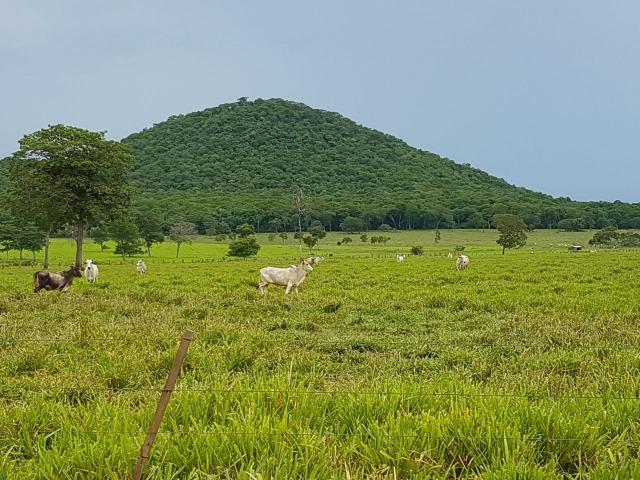 Fazenda de 34385 hectares em MT - Foto 11