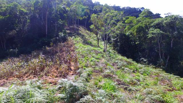 Chácara em Marechal Floriano - Foto 16