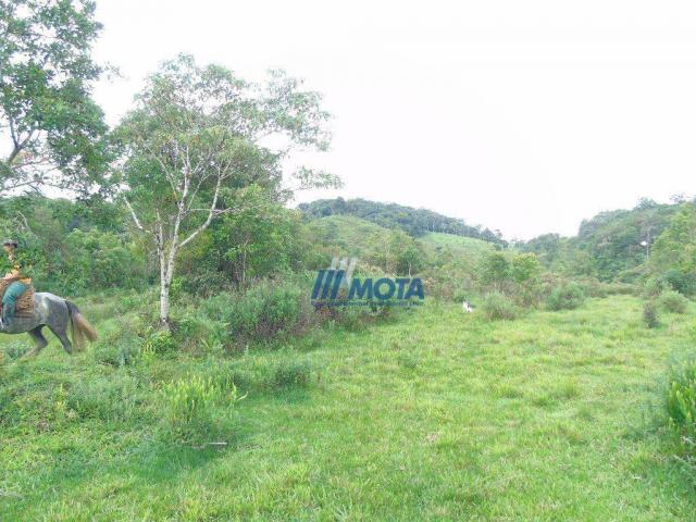 Sítio à venda, 354712 m² por r$ 250.000,00 - miringuava - são josé dos pinhais/pr - Foto 16