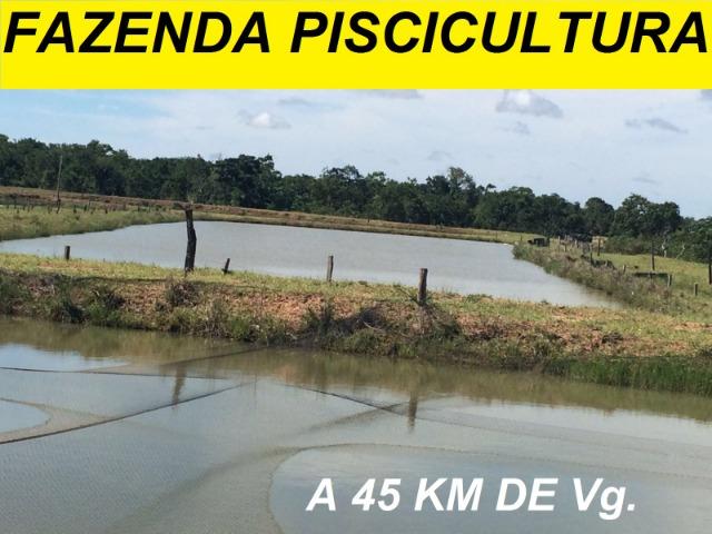 Vendo/troco sitio com piscicultura, pego imoveis em MT - Foto 2