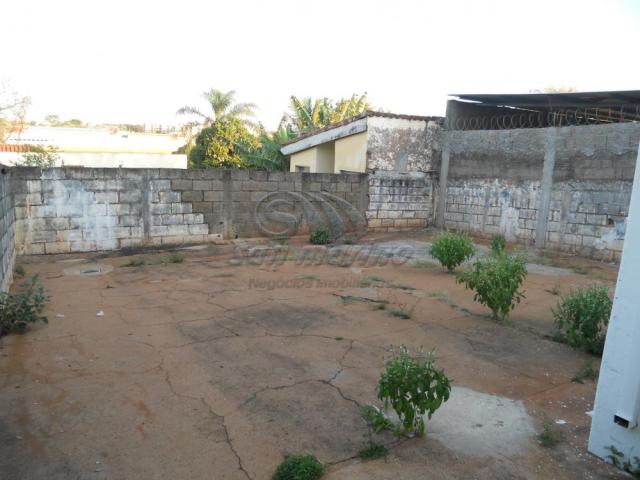 Casa para alugar com 2 dormitórios em Sorocabano, Jaboticabal cod:L4565 - Foto 11