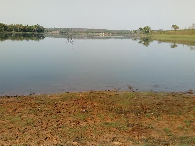 Fazenda Com 1.100 hectares Lago do Manso - Foto 7